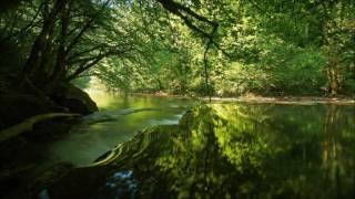 Robert Schumann  Träumerei string version [upl. by Paolina684]