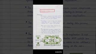 Respiration in Plants Notes  Class 11  NEET  CBSE  HSC  MHT CET neet biology class11 shorts [upl. by Waers]