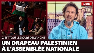 Arnaud Demanche Un drapeau palestinien à lAssemblée nationale [upl. by Luna]