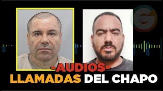 Audios de las llamadas del Chapo y El Cholo Iván JuicioChapo [upl. by Florry]