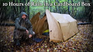 10 Hours of Rain in a Cardboard Tent [upl. by Ada]