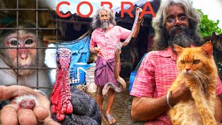 Cobra முதல் கோழிக்குஞ்சு வரை தன் உறவு போல் வளர்த்து வரும் City Tarzan [upl. by Ettelracs]