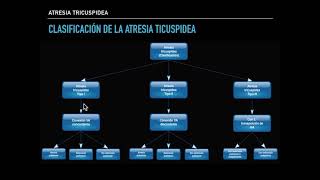 Atresia tricuspidea Clase Demo [upl. by Petras]