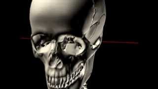 The Skull in Motion  Atlas and Occiput [upl. by Hpseoj558]