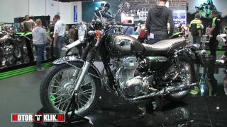 Kawasaki W800 2011 [upl. by Llet]