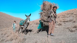 People of the Village Life in the Mountains of Afghanistan [upl. by Evetta]