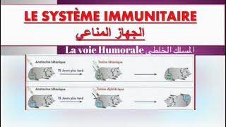 Le système immunitaire ملخص درس  réponse immunitaire spécifique à voie humorale [upl. by Garlinda]