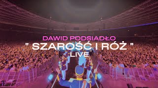 Dawid Podsiadło  Szarość i Róż Chorzów 25062022 [upl. by Lalad]