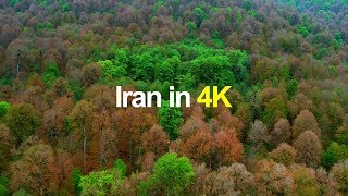 Iran in 4K  Spring in Alborz Mountains بهار در کوهستان های البرز [upl. by Atnima]