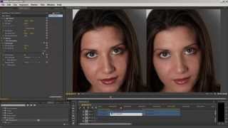 Portraiture Plugin for Video Tutorial [upl. by Ahsirahc]