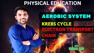 Aerobic system by Rahul sir  Krebs cycle  Electron transport chain  slow glycolysis  PE [upl. by Ainehs833]