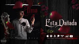 Ivan Cornejo  Está Dañada Audio Oficial [upl. by Tham]