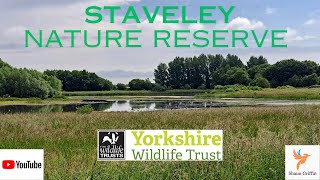 Staveley NR  Yorkshire Wildlife Trust Jun 24 [upl. by Nylcsoj]