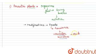 The heterotrophic plants can be divided into two groups on the basis of their mode of nutrition [upl. by Nutsud]