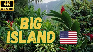 【4K】Hawaii Big Island  KailuaKona Akaka Falls State Park amp Hilo Walk  60 fps [upl. by Ferris]