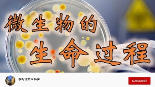 KSSR SN 科学 6年级 单元3：微生物的生命过程 Living Processes of Microorganisms [upl. by Kaiulani]