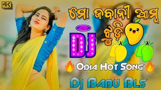 Mo Jabani Amba Jhudi Odia Song Dj  Odia Dj Song  Dj Babu Bls [upl. by Sinnoda737]