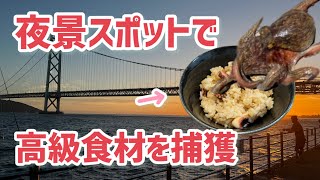 神戸の夜景スポットで高級食材を釣り上げろ！【アジュール舞子】 [upl. by Kessel]