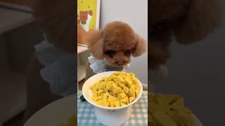 Triangularshaped cheese fruit and vegetable teething granules rich in nutrients dog puppy pet [upl. by Haerb]