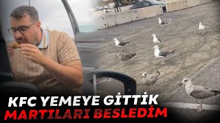 CHIPS KFC YEMEYE GİDİYOR  MARTILARI BESLİYOR [upl. by Odlonyer]