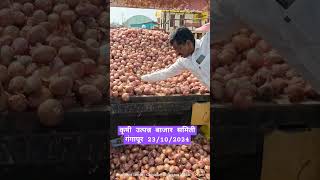 आजचेकांदाबाजारभाव कांदा todayonion gangapur vegetableprices farming streetfood royalशेतकरी [upl. by Daryle320]