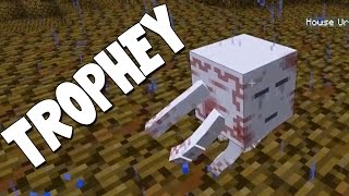 Minecraft  Boss Battles  UrGhast Trophy 19 [upl. by Rafter]