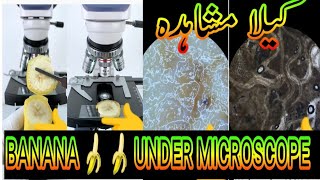 microscope  banana under microscope [upl. by Auqinet]