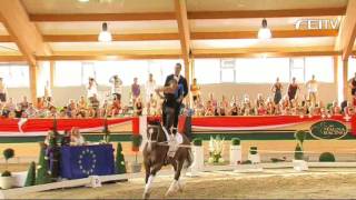 FEI European Vaulting Championships 2013  Senior Squads Compulsory amp Technical  Top 3 [upl. by Naujej]