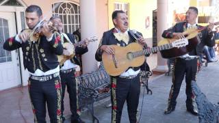 Caminos de Michoacán Mariachi Estrella Jaripo Michoacán [upl. by Atteragram]