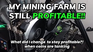 I AM STILL PROFITABLE MINING even though xelis and aleo profits are tanking [upl. by Eillime]