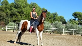 Tuto N°5 ★ Apprendre le campo a son cheval [upl. by Anihpesoj]