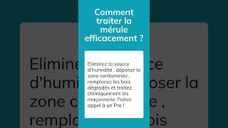 Comment traiter la mérule efficacement [upl. by Annaehs622]