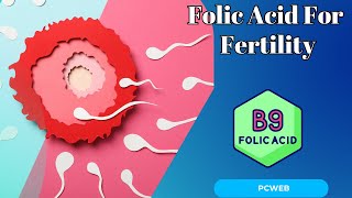 The Role of Folic Acid in Enhancing Fertility [upl. by Ardelis]