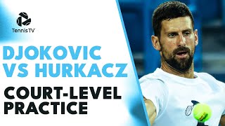 Novak Djokovic vs Hubert Hurkacz ENTERTAINING CourtLevel Practice  Cincinnati 2023 [upl. by Eldwon]