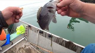 Fishing In July Westport Washington [upl. by Seve301]