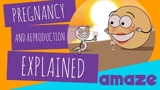 Pregnancy and Reproduction Explained [upl. by Adnohsad]