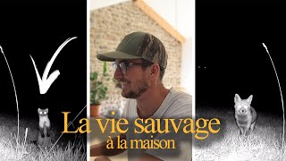 LA VIE SAUVAGE A LA MAISON [upl. by Sabu]