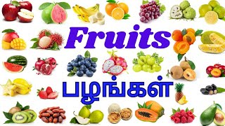 Fruits nameபழங்களின் பெயர்கள்Learn Fruits names in English and tamilsuccesskidslearningvideos [upl. by Paulson374]