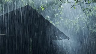 Sleep Instantly Within 3 Minutes with Heavy Rain amp Thunder on Ancient House in Foggy Forest at Night [upl. by Azral]