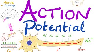 Action Potential  Most COMPREHENSIVE Explanation  Nerve Physiology [upl. by Airdnalahs222]