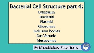 Bacterial cell structure Part 4 cytoplasm and other cytoplasm components [upl. by Copp]