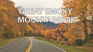 Americas Most Visited National Park  Fall Colors  Great Smoky Mountains 4K  Scenic Drive [upl. by Thetis25]