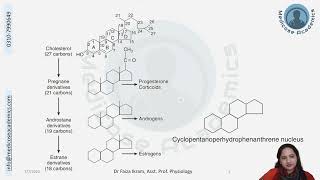 Adrenocorticotrophic Hormones  Endocrine Physiology Crash Course July 2023 [upl. by Savinirs]