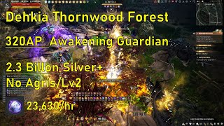 BDO Awakening Guardian Dehkia Thornwood Forest 23600h Lv2 No Agris  각성 가디언 데키아 가시나무숲 [upl. by Hawthorn]