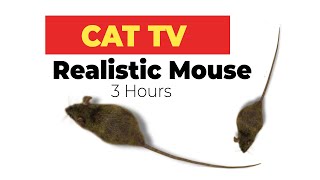 CAT GAMES  Realistic Mouse HD  3 HOURS Video for Cats amp Dogs to watch [upl. by Eiuqcaj]