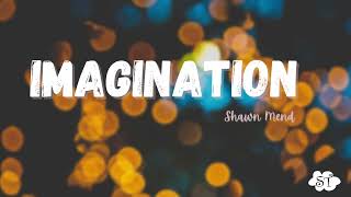 ImaginationShawn Mendes Lyrics [upl. by Alemac173]