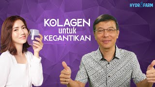 Kolagen untuk Kecantikan [upl. by Osrock]