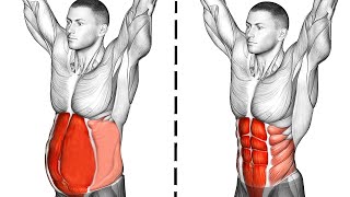 Abs Workout Abdominal Exercises [upl. by Bonnell]