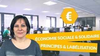 L’économie sociale et solidaire Les principes et la labélisation  Economie Terminale STMG [upl. by Ahsilav]