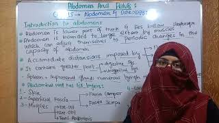 Introduction to abdomen and osteology  abdomen and pelvis  abdominal wall layers  chp 15 bdc [upl. by Lahey]